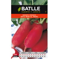 Red Date Radish Seeds