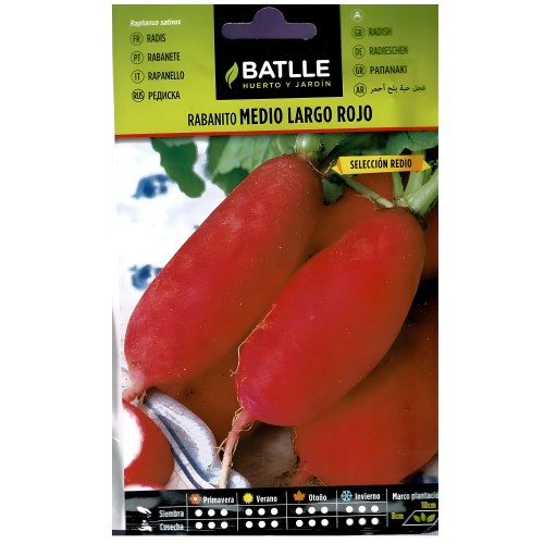 Red Date Radish Seeds