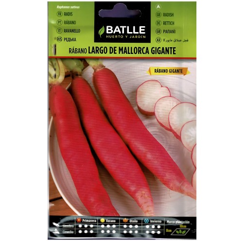 Giant Mallorca Radish Seed Pack
