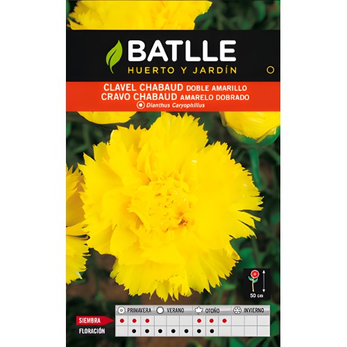 Chabaud Double Yellow Carnation Seeds