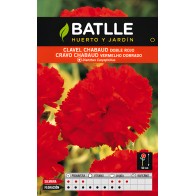 Chabaud Red Carnation Seeds - Batlle