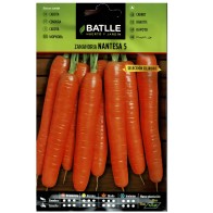 Nantes Carrot Seeds