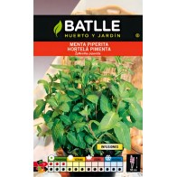 Semillas de Menta Piperita para Infusiones - Cultiva Menta Fresca