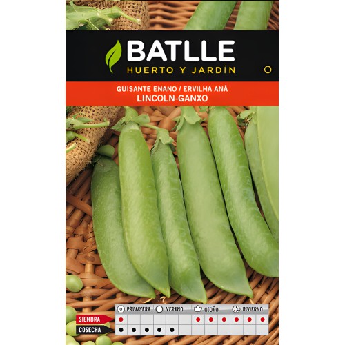 Lincoln Pea Seeds 250g - Easy to Grow Legumes