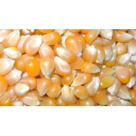 Prodac 5 Kg Corn