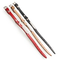 Collar Con Placa 55 Cm. Negro Vmd