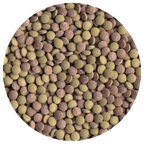 Tetratabimin 120 Tablets - Essential Fish Food