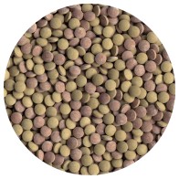 Tetra Tetratabimin 275 Tabletas - Alimento Completo para Peces