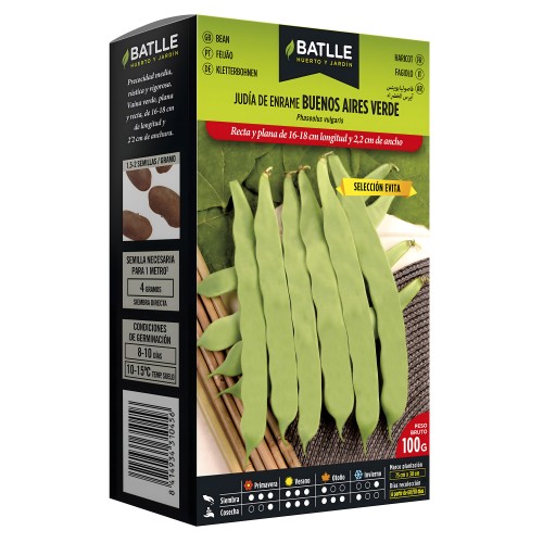 Green Bean Buenos Aires Variety for Climbing - 100g