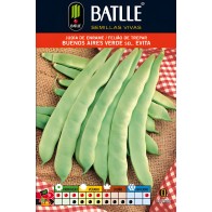Green Bean Buenos Aires Variety for Climbing - 100g