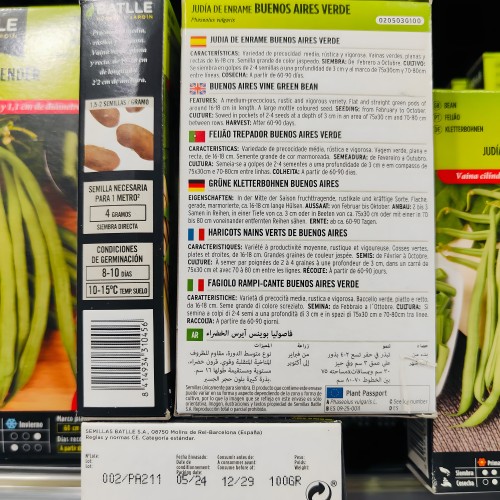 Green Bean Buenos Aires Variety for Climbing - 100g