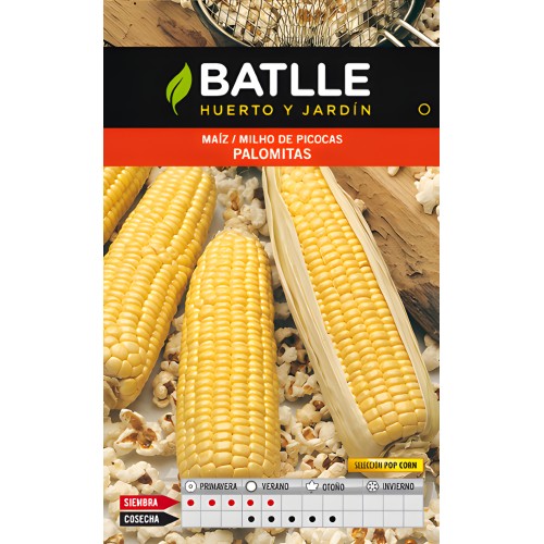 Popcorn Maize Seeds - Grow Your Own Snack!