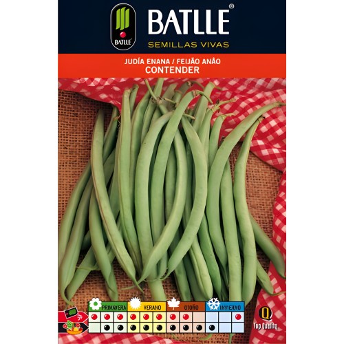 Contender Dwarf Bean - 1 Kg