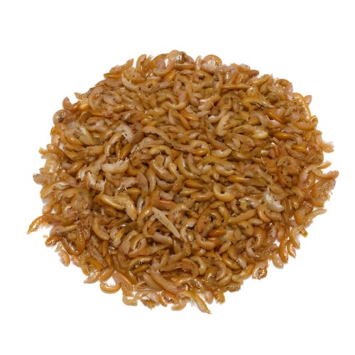 Gammarus Bulk Food for Reptiles - Fauna Mix