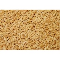 Avena Pelada Vinci 5 Kg - Comida Premium para Aves