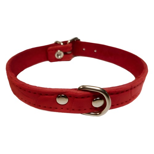 Collar Piel Labrado 12x300 - Elegante para Razas Pequeñas