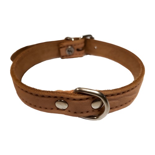 Green Leather Collar - Stylish and Comfortable