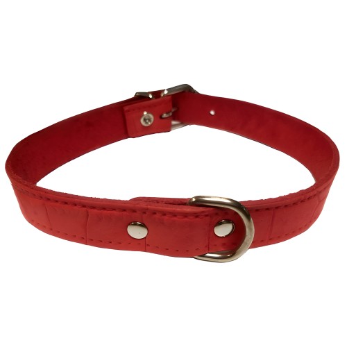 Collar de Piel Rojo San Dimas para Razas Pequeñas