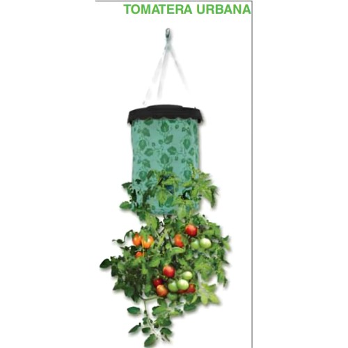 Tomatera Urbana 40x22cm.