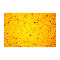 Raff Holland Cova 300gr.