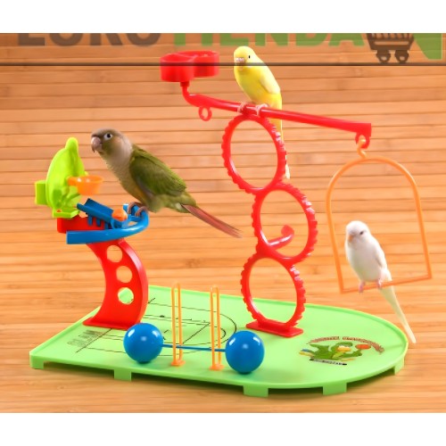 Basketball Park for Budgies and Lovebirds