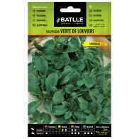 Louviers Green Valerian (Cannon Grass)