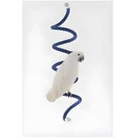 Sun Parrots Liana De Algodon T/m