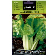 Swiss Chard Yellow Lyon Seeds - Easy to Grow