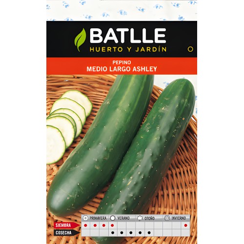 Ashley Medium Long Cucumber Seeds