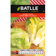 Little Gem Lettuce Seeds for Home Gardening
