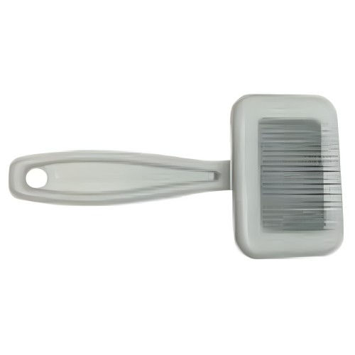 Small Plastic Brush S.D.