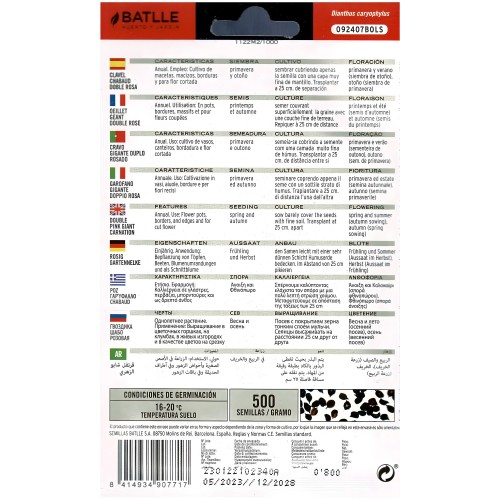 Semillas de Clavel Chabaud Rosa