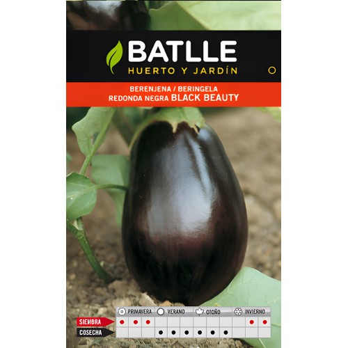 Black Beauty Round Eggplant Seeds