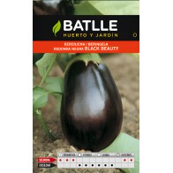 Black Beauty Round Eggplant Seeds