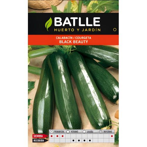 Black Beauty Zucchini Seeds - Packet