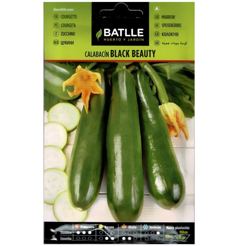 Black Beauty Zucchini Seeds - Packet