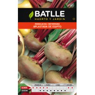 Batlle Beetroot Flat Egypt - Garden Seed