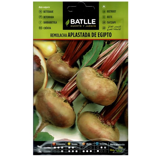Semillas de Remolacha Aplastada Egipto Batlle para Cultivo Fácil