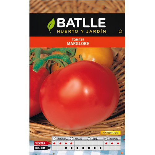 Semillas de Tomate Marglobe - Deliciosas y de Alto Rendimiento