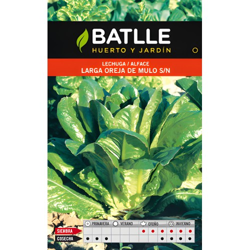 Lechuga Larga Oreja De Mulo