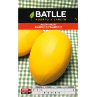 Semillas de Melón Amarillo Canario