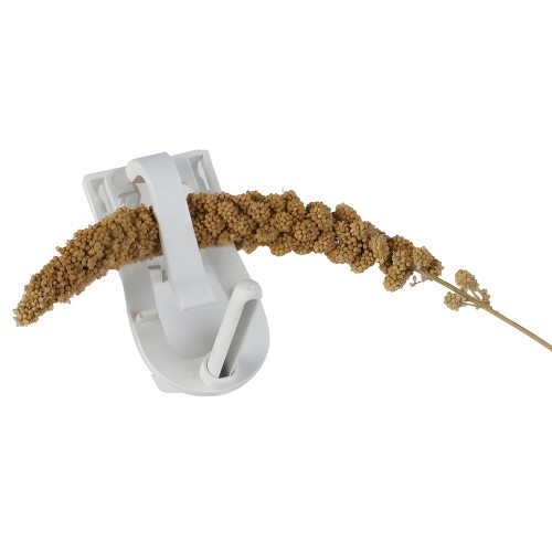 Sepia-Vegetable Holder for Bird Cages