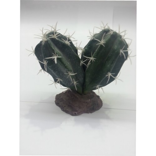 Cactus Sinai - Planta Decorativa para Terrarios