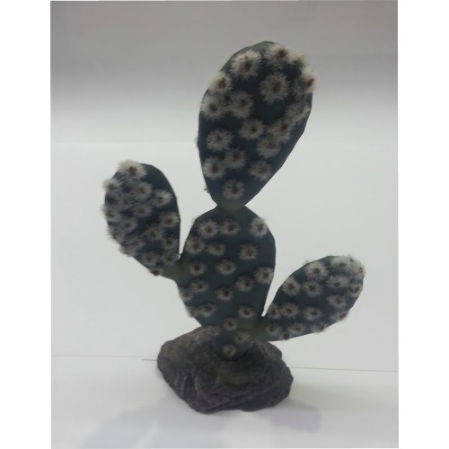 Cactus Sahara 19cm - Perfecto para Terrarios