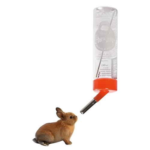 Classic 320ml Ball Feeder for Small Animals
