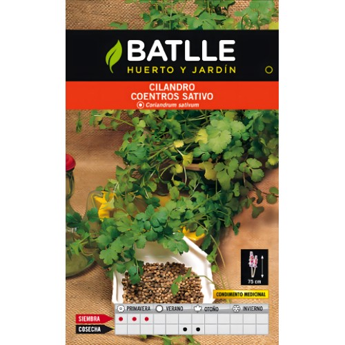 Semillas de Cilantro (Coriandrum Sativum)