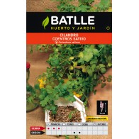 Semillas de Cilantro (Coriandrum sativum)