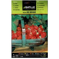 Fresas De Bosque Para Jardinería Doméstica