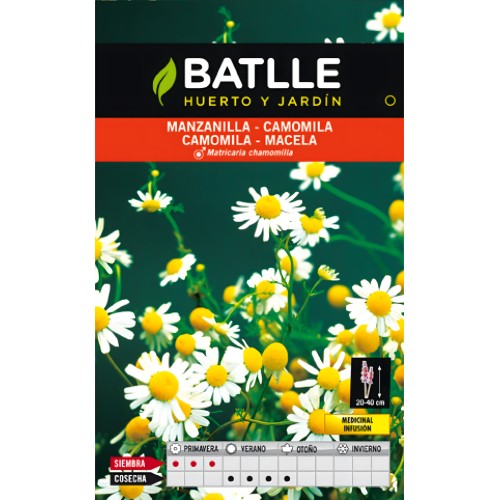 Chamomile Seeds for Planting