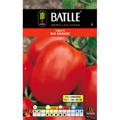 Semillas de Tomate Rio Grande - Ideal para Jardinería en Casa